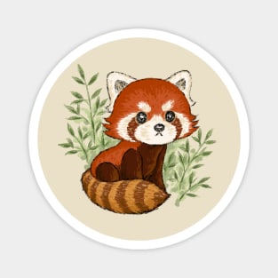 Red panda in nature Magnet